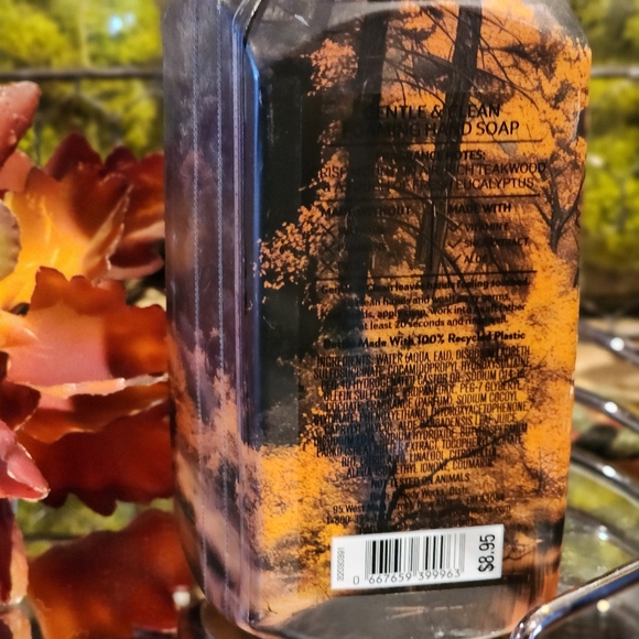 Bath & Body Works Mountain Teakwood Foaming Hand Soap - Picture 5 of 7